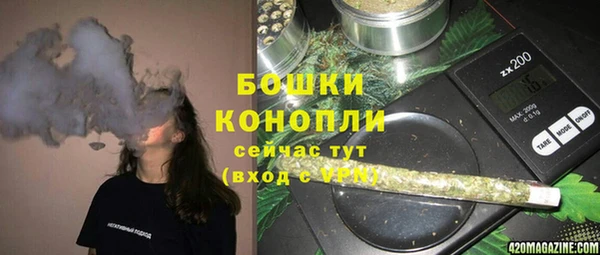 крисы Верея