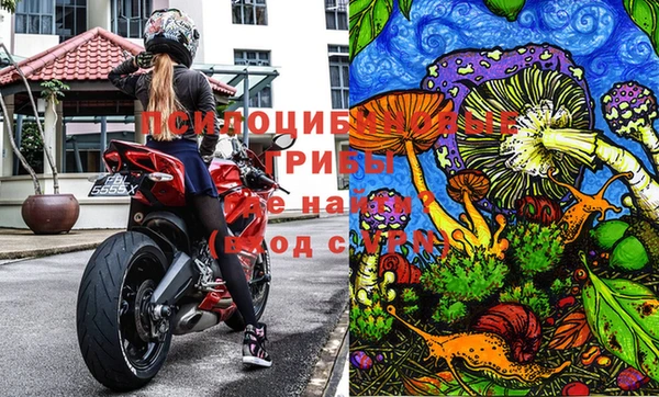 крисы Верея