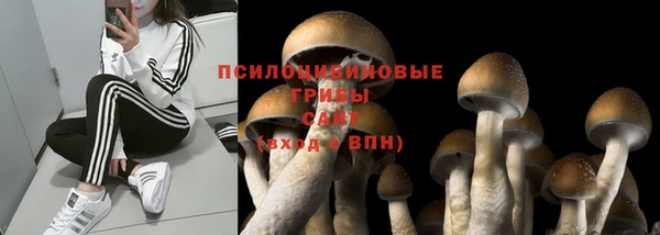 крисы Верея