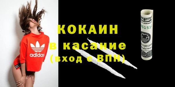 прущие грибы Верхний Тагил