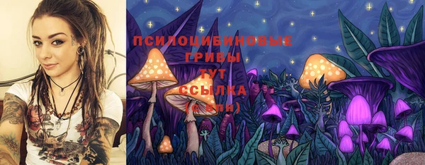 прущие грибы Верхний Тагил