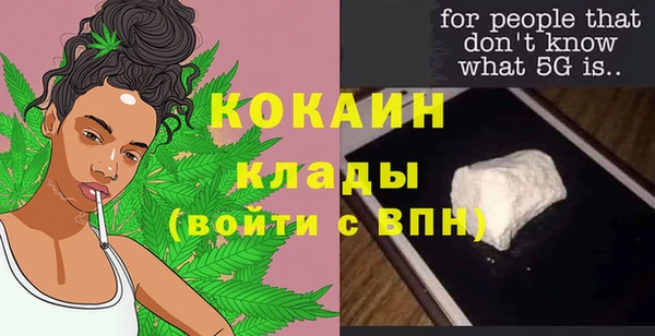 крисы Верея