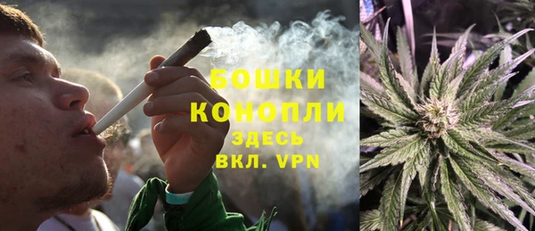 прущие грибы Верхний Тагил