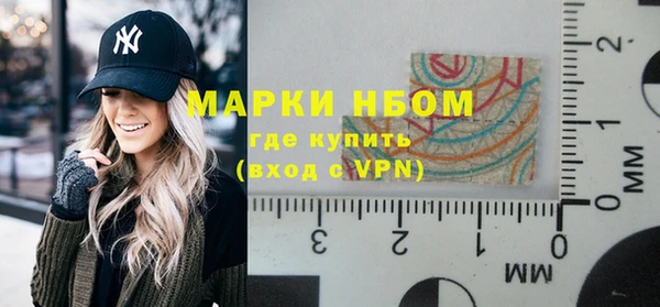 прущие грибы Верхний Тагил