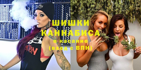 прущие грибы Верхний Тагил