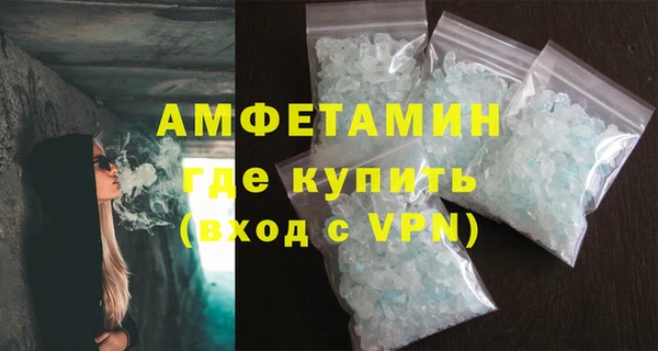 прущие грибы Верхний Тагил