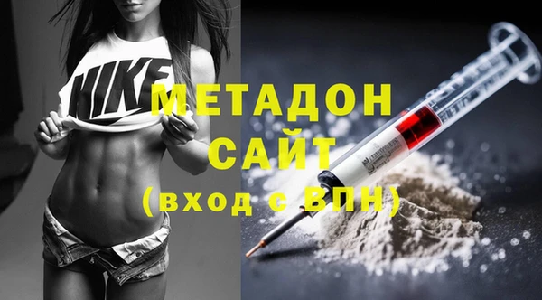 прущие грибы Верхний Тагил