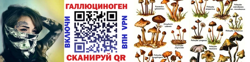 цена наркотик  Вытегра  Псилоцибиновые грибы прущие грибы 